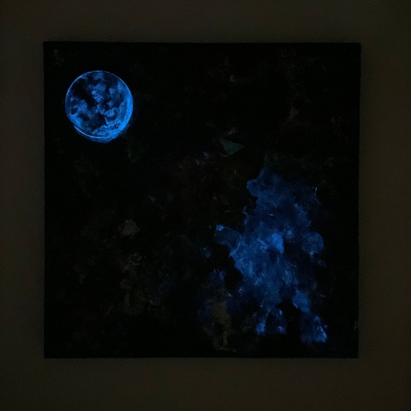 A Planetary Parade 1.25.25