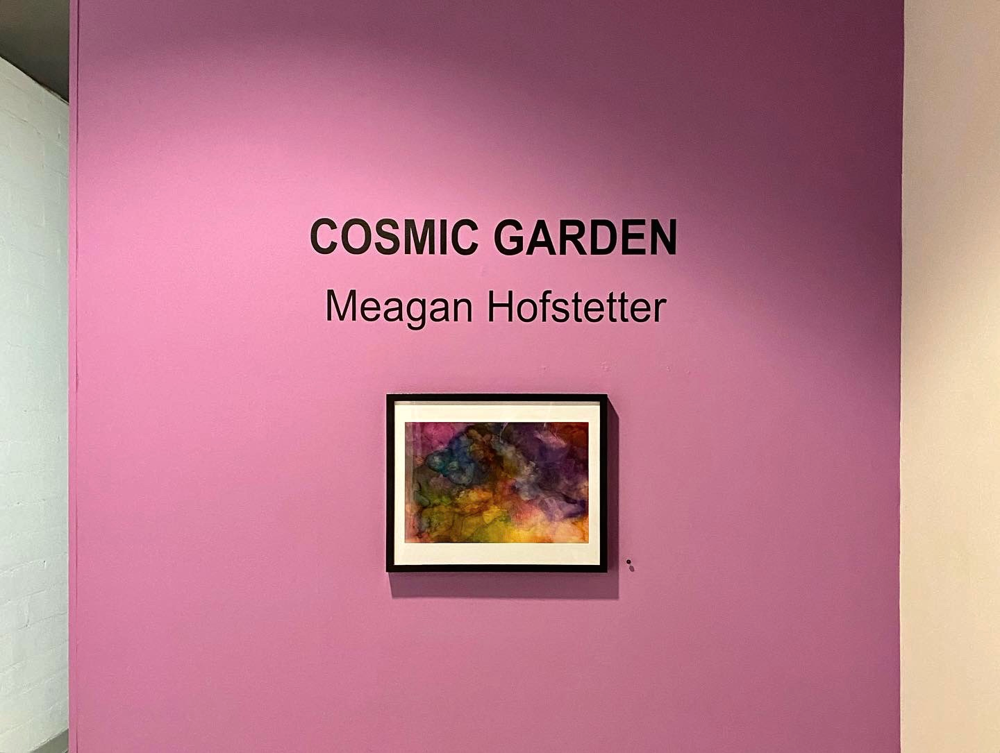 Cosmic Garden Gallery Collection